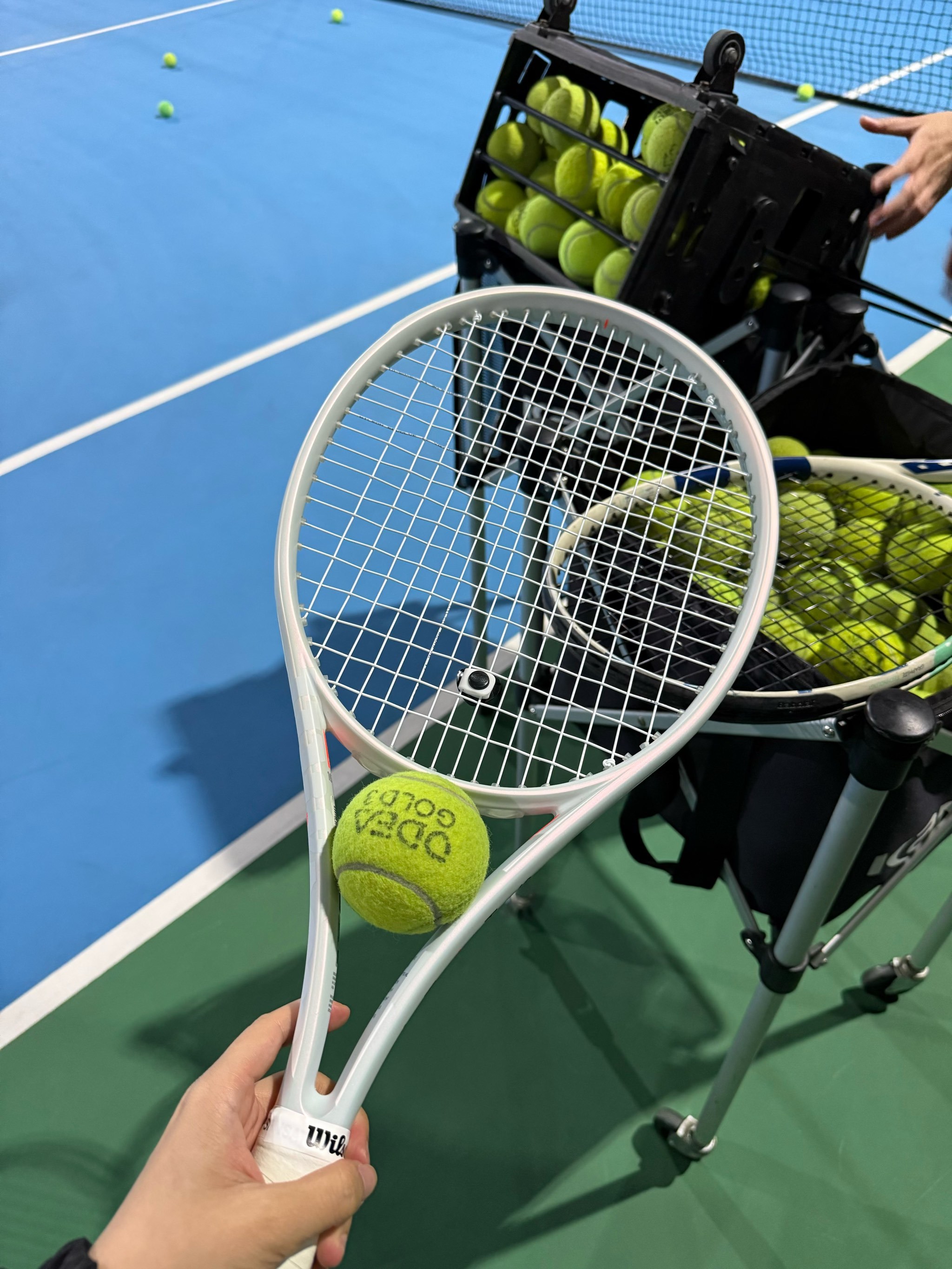 效力于莱比 效力于莱比