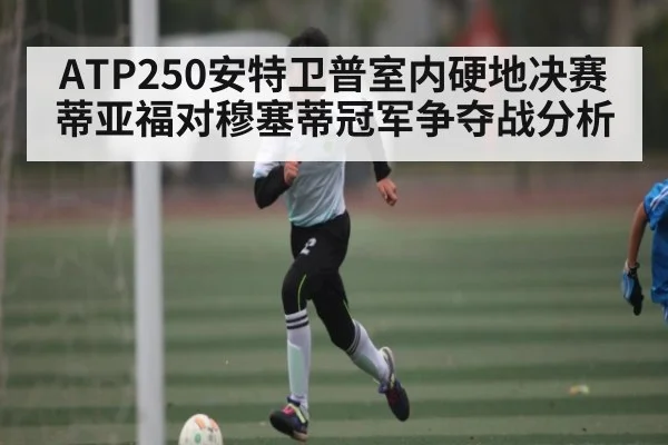 ATP250安特卫普室内硬地决赛蒂亚福对穆塞蒂冠军争夺战分析